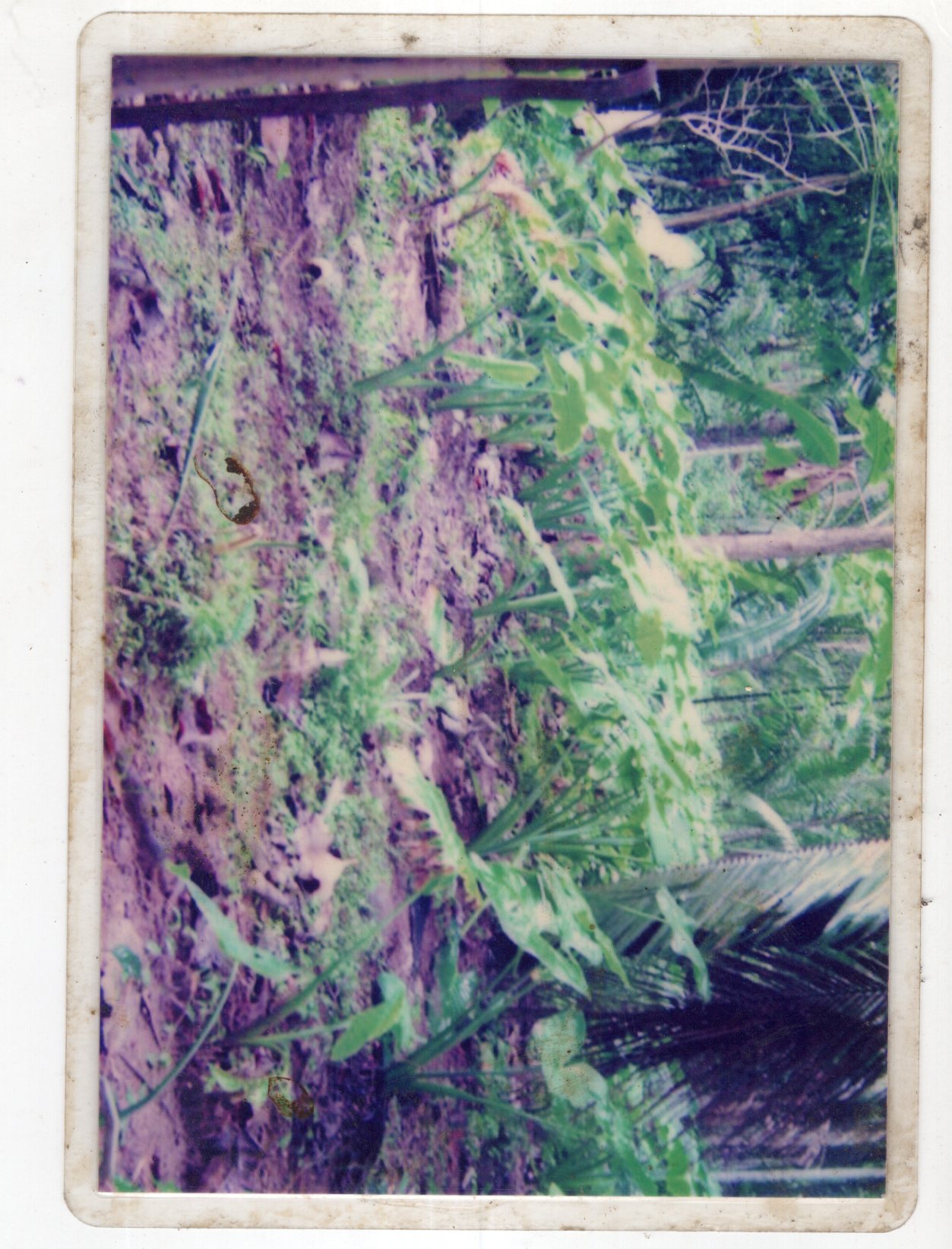 Gallery Image 22