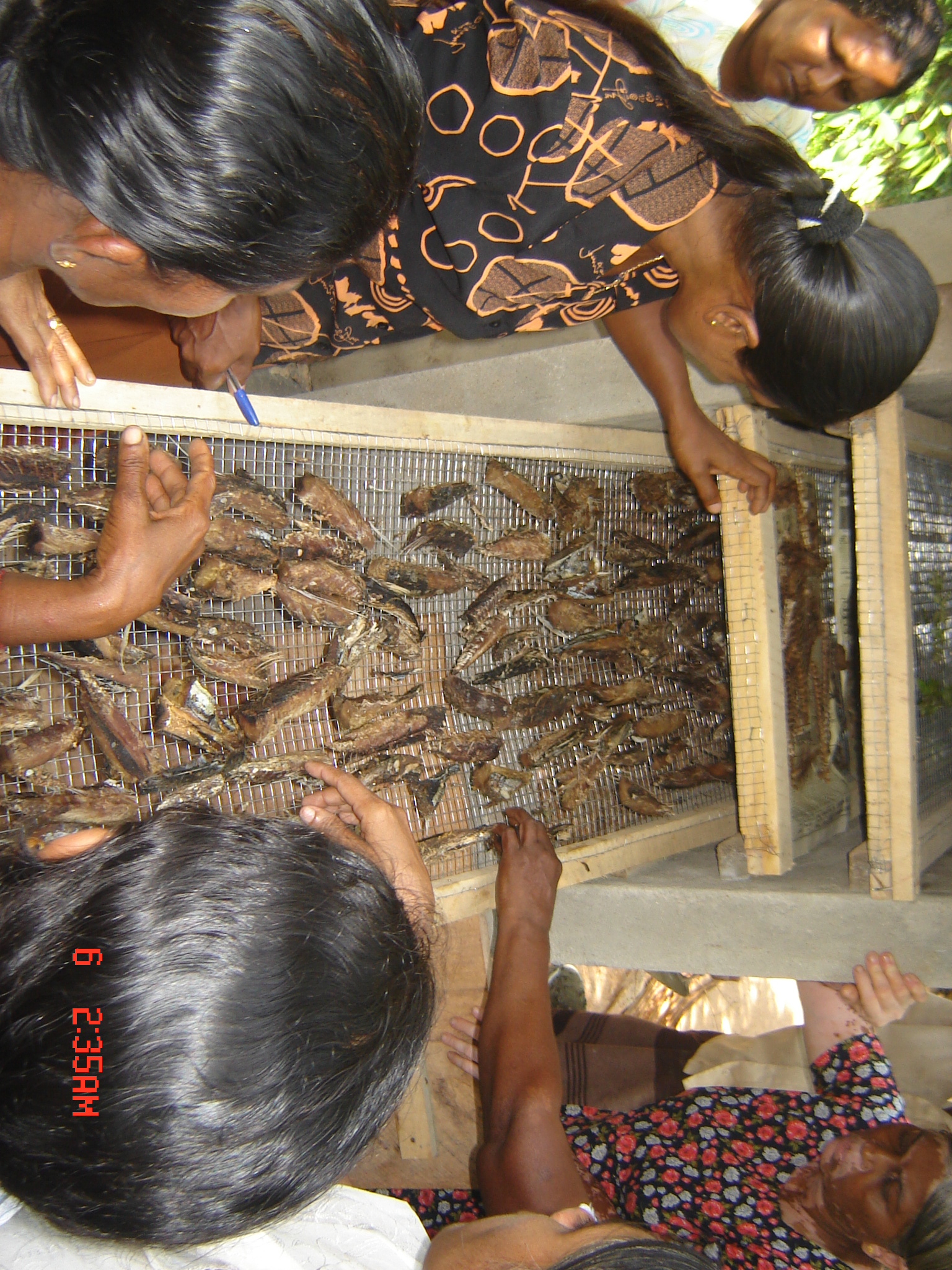 Gallery Image 7